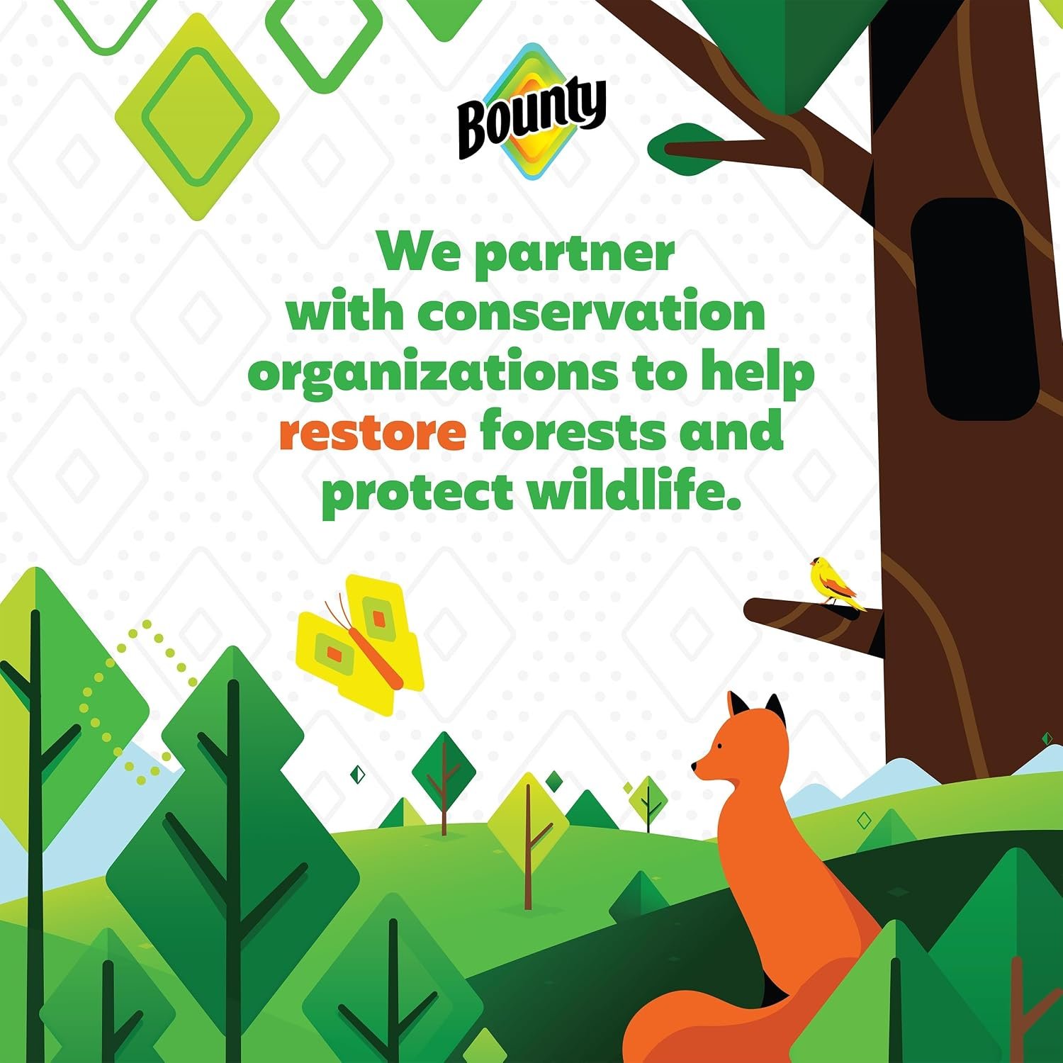 Bounty forest conservation promotional illustration